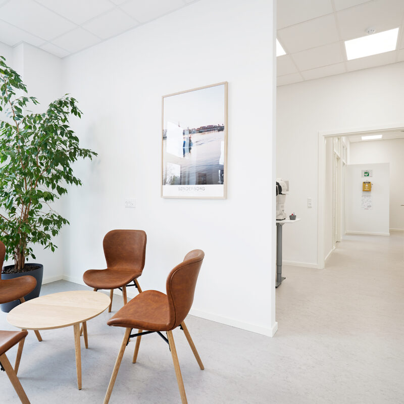 Ojenkirugisk_2024_v041_web